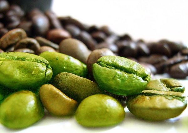 chicco-di-caffè-verde gustoenutrizione